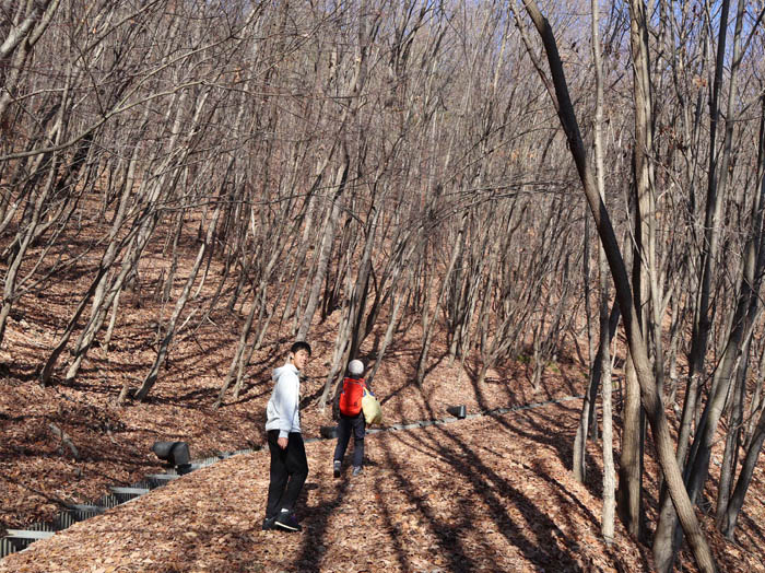 photo：登り坂を行く：地附山