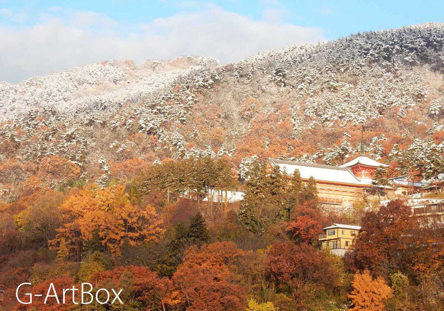 写真・雪化粧の地附山2
