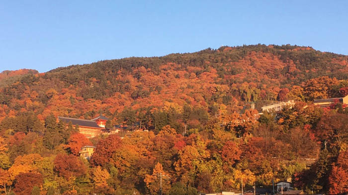 写真・地附山の紅葉