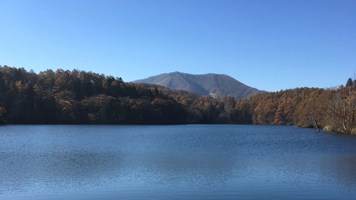 写真・晩秋の望見池