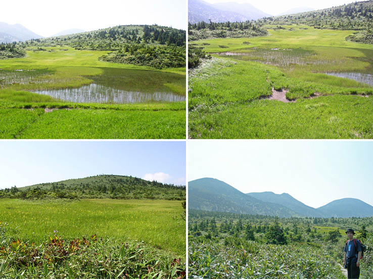 17田茂萢(たもやち)湿原を通って