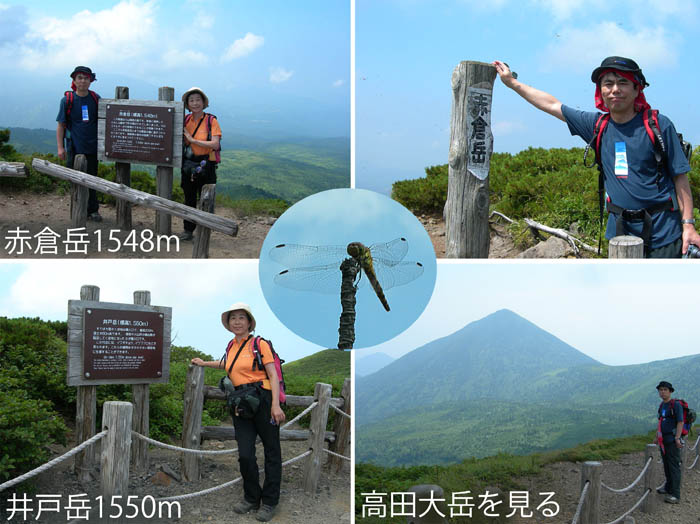 19トンボ群れ飛ぶ稜線