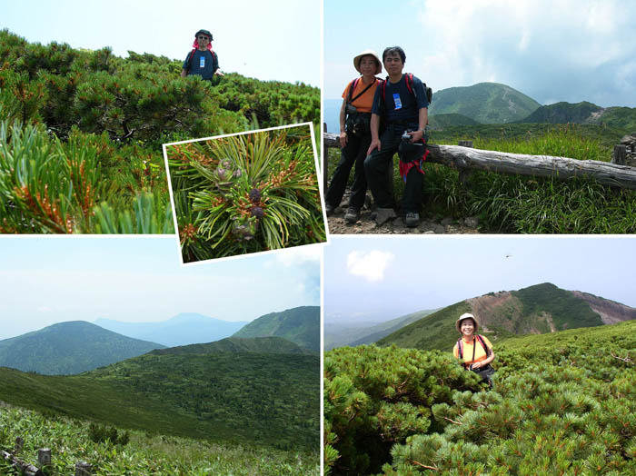 20ハイマツの稜線を行く