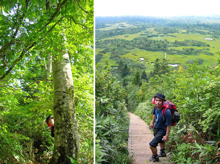 23森を抜けて湿原へ