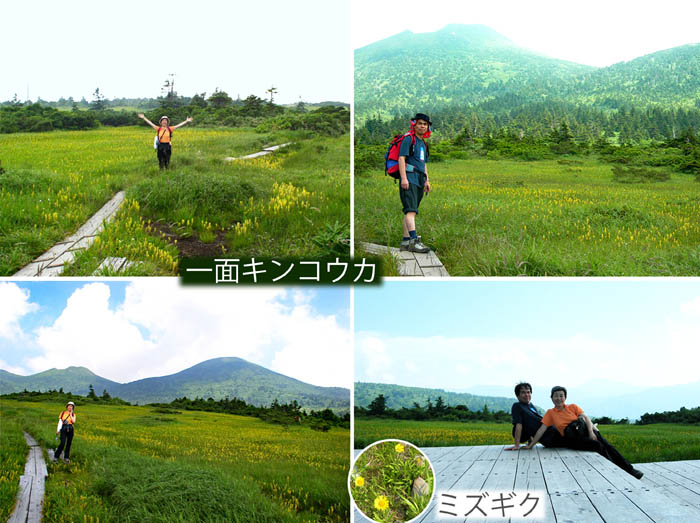 25黄金色の毛無岱(けなしたい)湿原