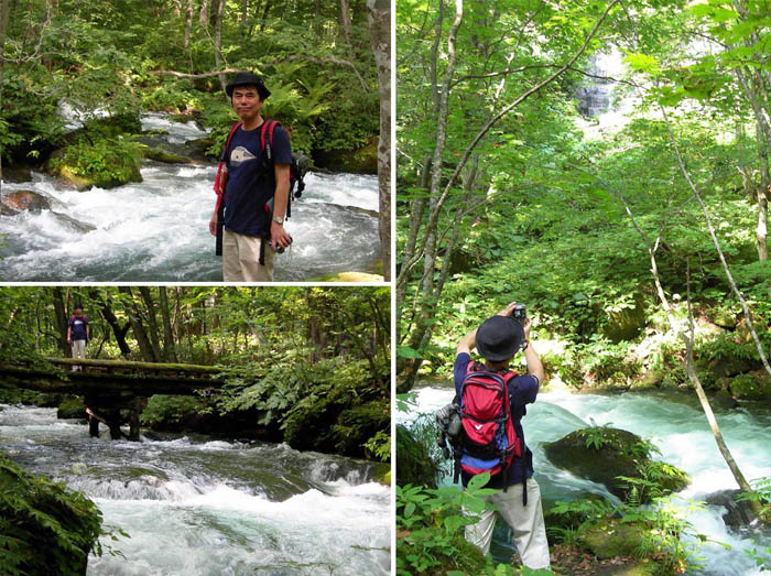 29奥入瀬渓流２