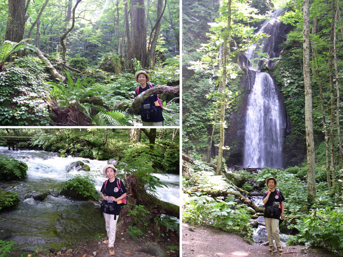 30奥入瀬渓流３