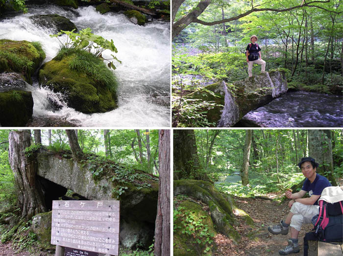 31奥入瀬渓流４