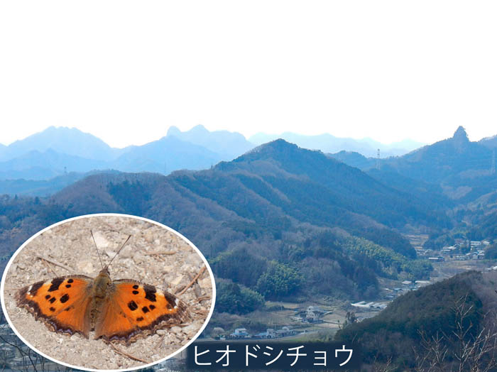 photo11妙義山系の展望