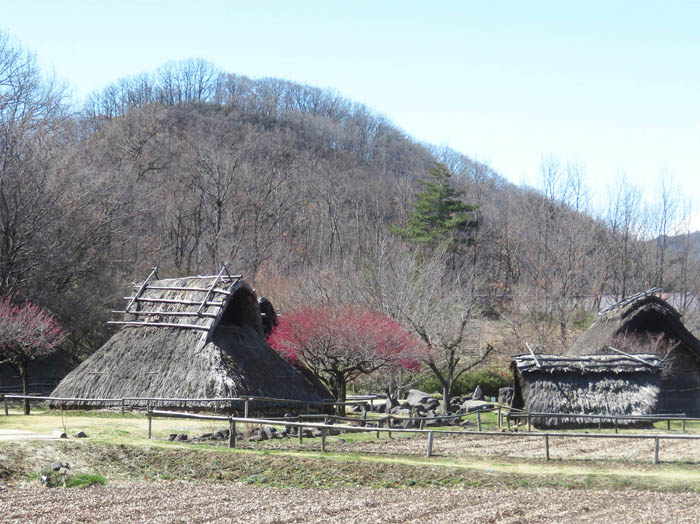 photo16復元された科野のムラ