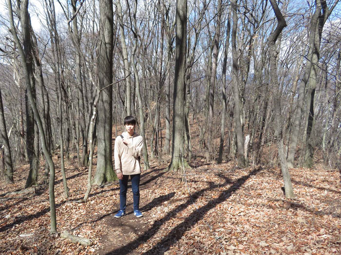 photo7気持ち良い冬の森