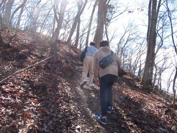 photo8落ち葉の道