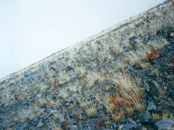 photo11木が生えない斜面