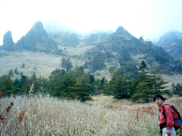 photo22草すべりを見上げる