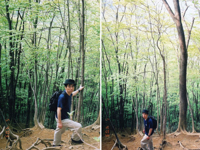 photo：深い森の中の急な登山道：伊豆ヶ岳