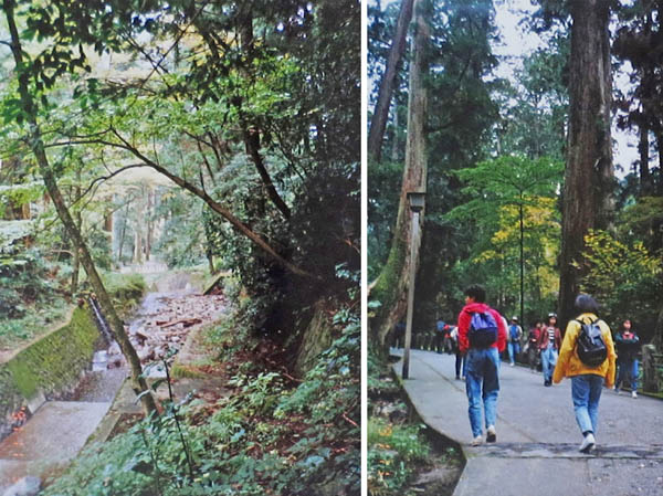 photo：登山道へ向かう