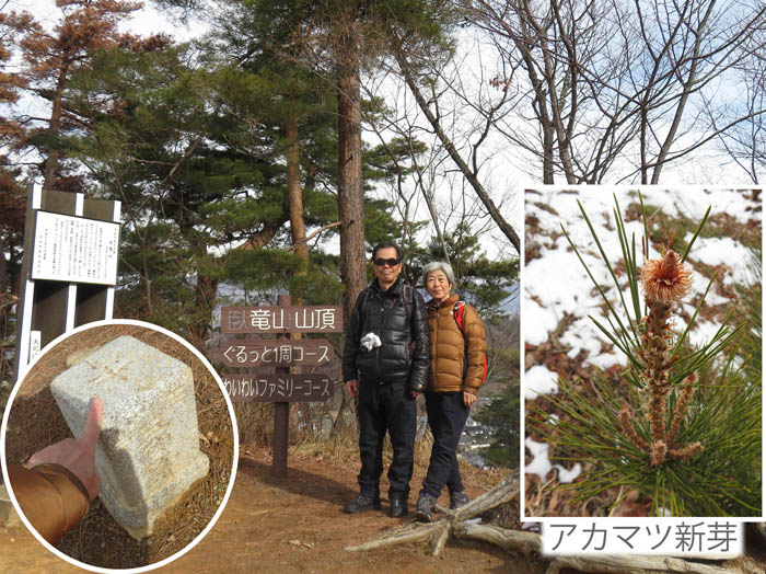 photo：臥竜山山頂
