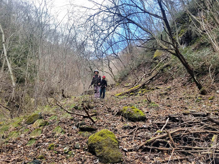 photo5沢沿いの道を登る
