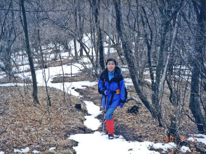 photo15一ノ字山山頂近くの林