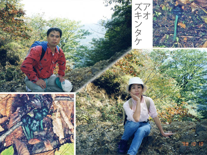 2アオズキンタケ