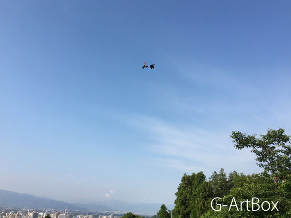 photo・上空では鳩がランデブー
