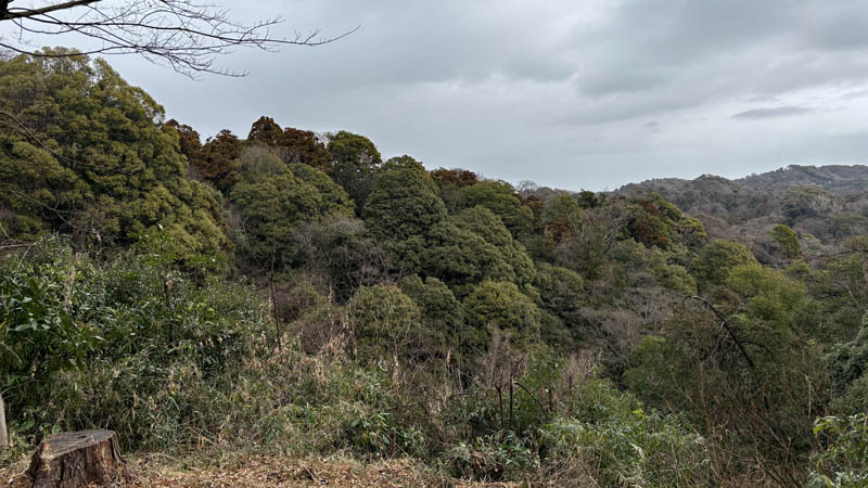 鎌倉市源氏山公園