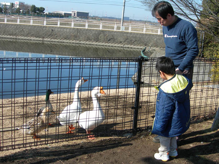 photo1途中で遊びながら