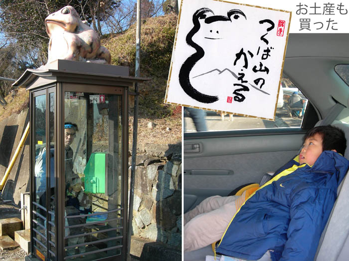 photo14公衆電話ボックスの上にガマ