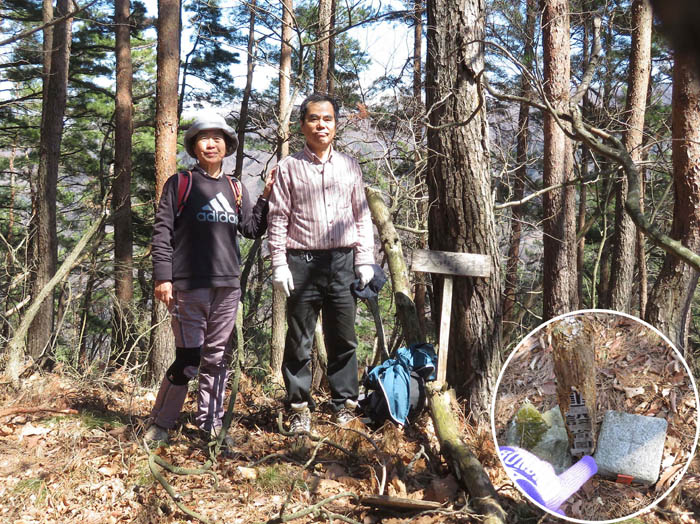 photo山頂は森の中