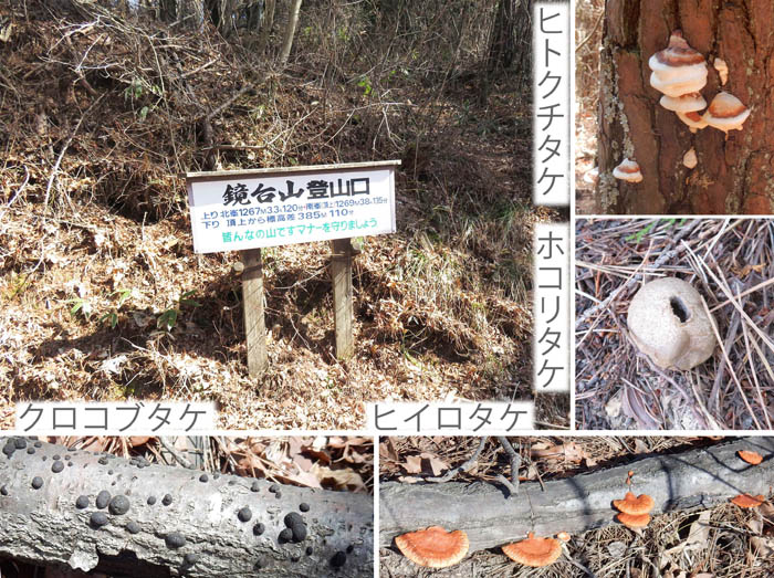 photo鏡台山登山口までは気持ち良い稜線