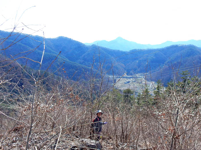 photoヤブをかき分け道探し