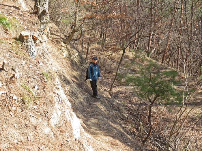 photo林道見つけた