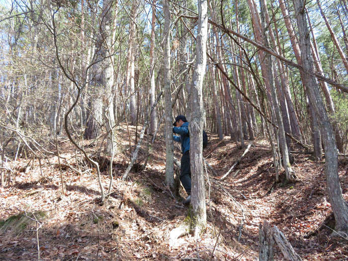 photo木につかまりながら登る
