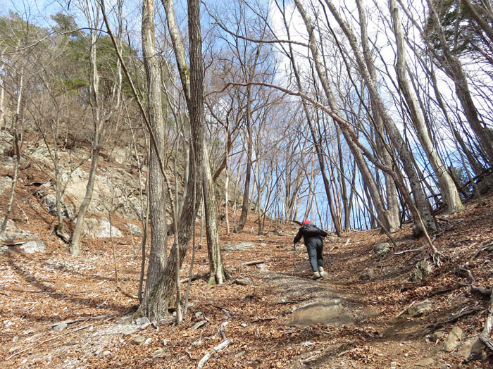 photo7鞍部への急登