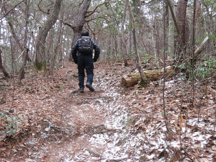 photo：ちょっと雪が残っている：地附山