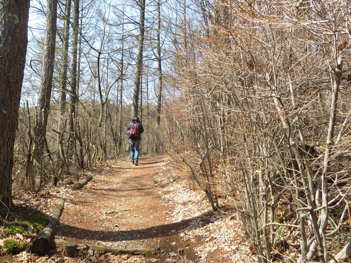 photo2大見山へ歩き始める