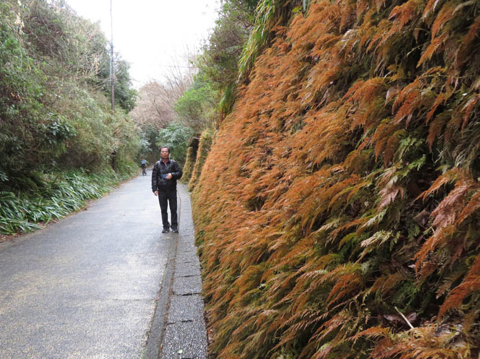 photo：亀ケ谷坂