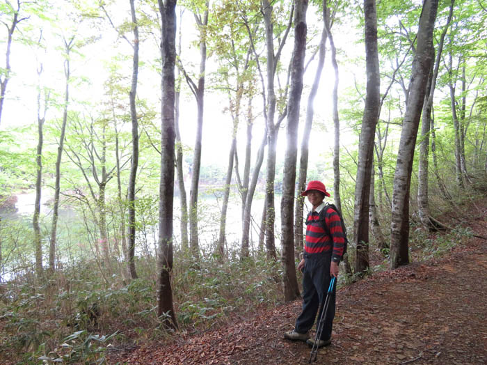 photo10ブナと茶屋池