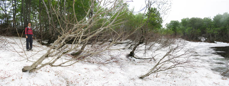 photo：山頂からの大展望