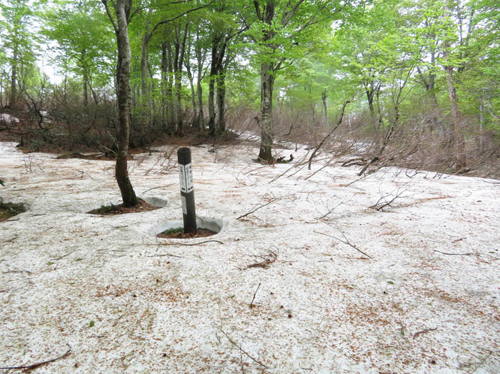 photo16登山道分岐は雪の中