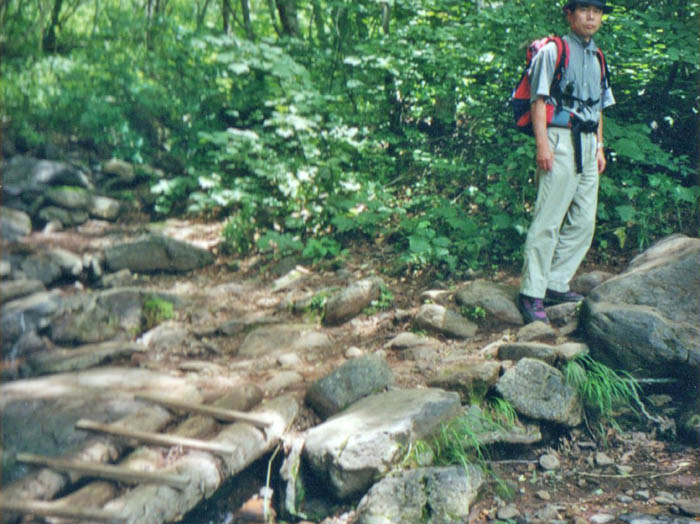 photo1登り始めの丸太橋