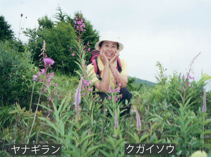 photo15ピンクの花に囲まれて