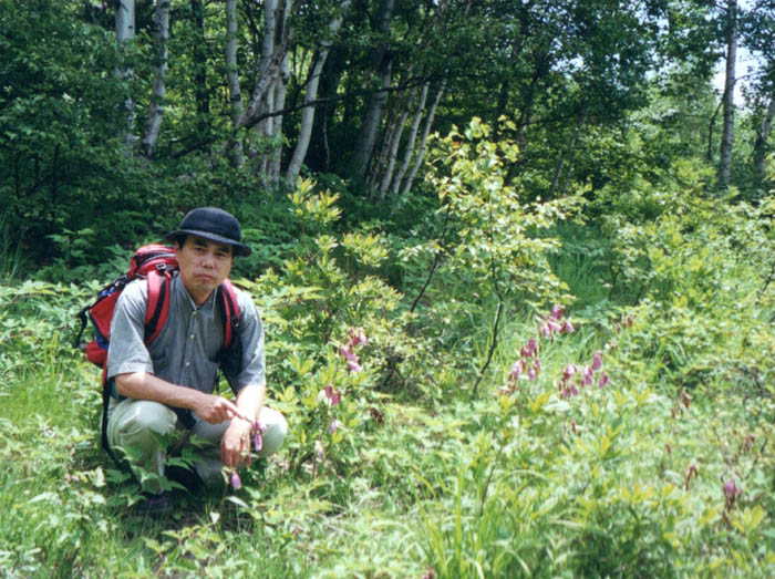 photo6ミヤマホタルブクロがいっぱい