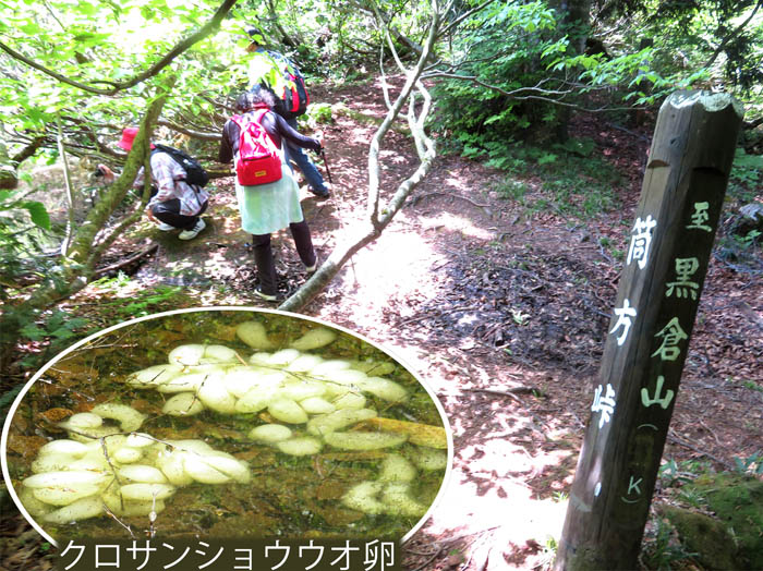 photo12筒方峠の池で