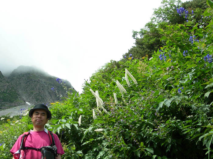 photo19サラシナショウマ,ヤチトリカブトなど/涸沢