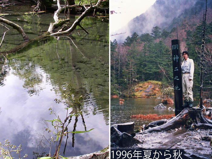 photo7息子はカモシカ調査のアルバイトで/上高地