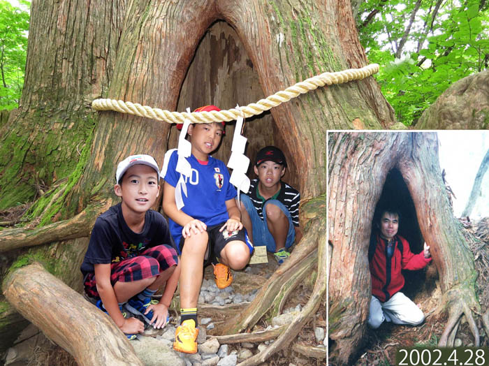 photo12杉の木の大きな穴