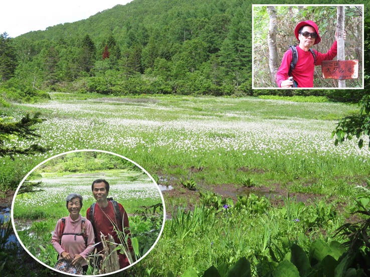 photo13大ダルミ湿原