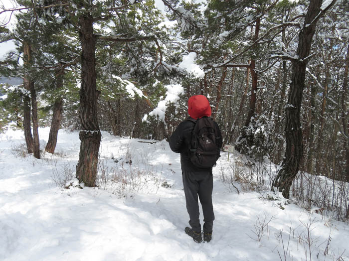 photo：山頂付近の雪：地附山