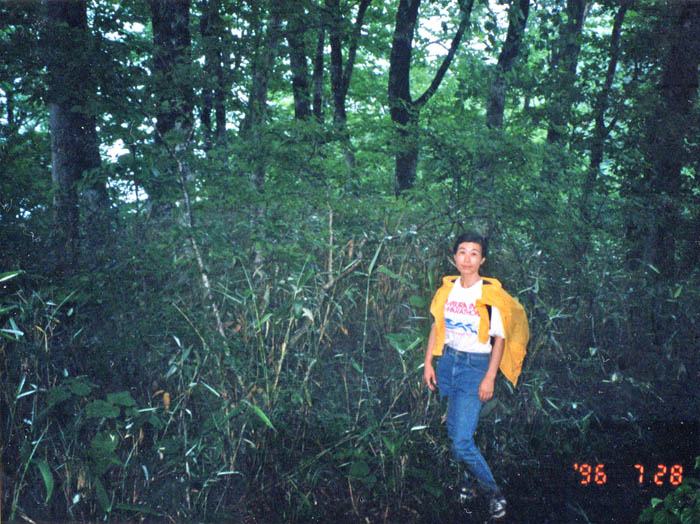 photo14深いブナの森